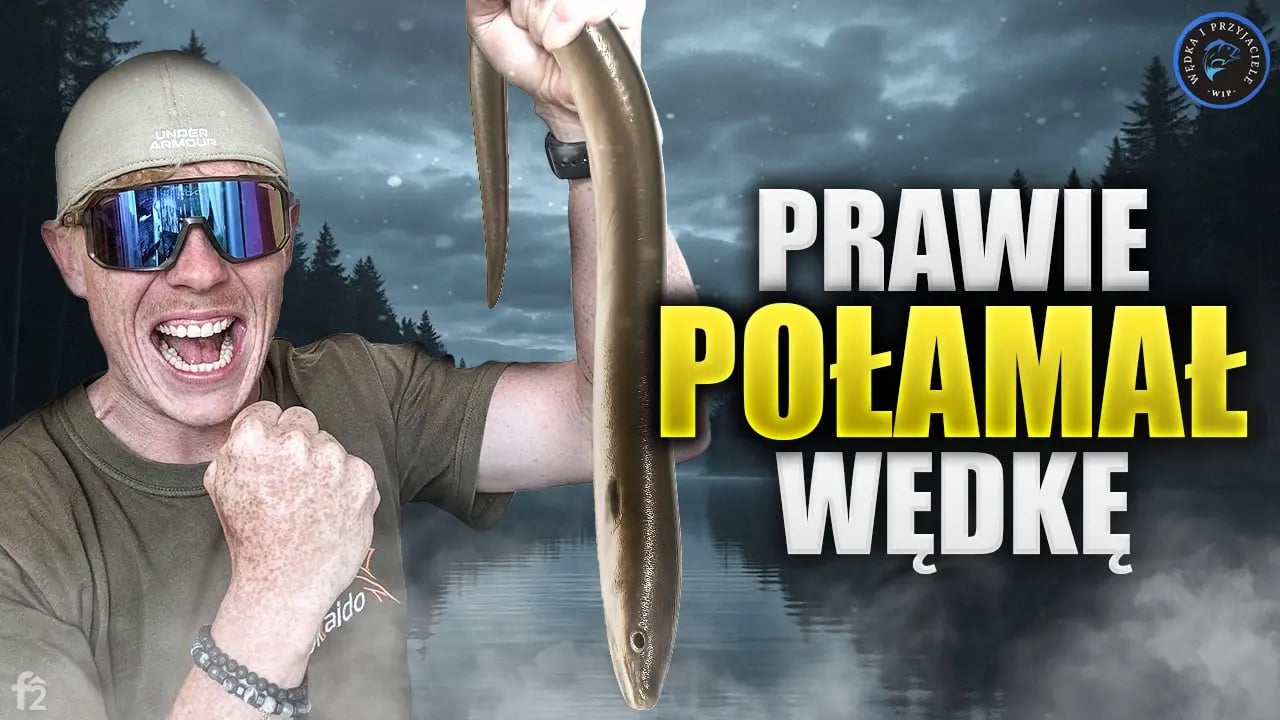 Polowanie Na Węgorza